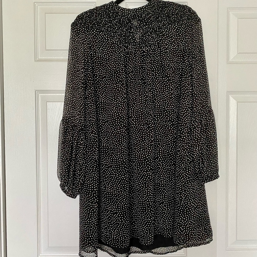 Zara Polka Dot Dress